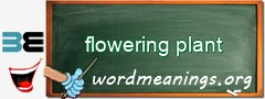 WordMeaning blackboard for flowering plant